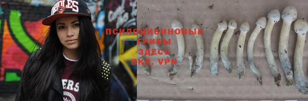 стаф Куйбышев
