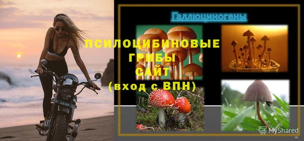 мяу мяу мука Кукмор